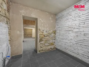 Pronájem komerční nemovitosti, Praha, Seifertova, 100 m2