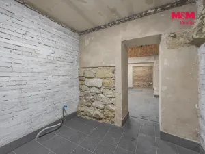 Pronájem komerční nemovitosti, Praha, Seifertova, 100 m2