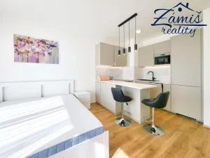 Pronájem bytu 1+kk, Kladno - Kročehlavy, Bohumila Landy, 32 m2