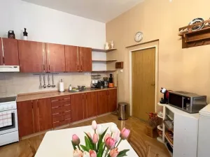 Prodej komerční nemovitosti, Teplice, Karla Čapka, 353 m2