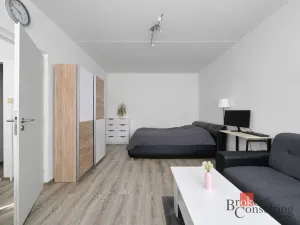 Prodej bytu 1+1, Plzeň - Bolevec, Manětínská, 39 m2