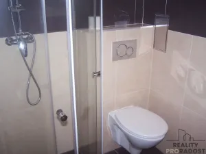 Prodej bytu 2+kk, Praha, Radlická, 42 m2
