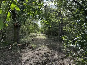 Prodej zahrady, Říčany, Do Lehovic, 2317 m2