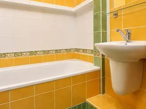 Pronájem bytu 1+1, Přerov, Petřivalského, 39 m2