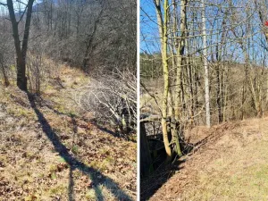 Prodej pozemku pro bydlení, Březová nad Svitavou, Brněnská, 2360 m2