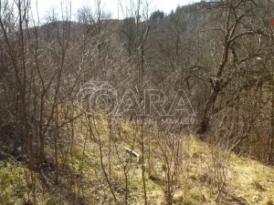 Prodej pozemku pro bydlení, Březová nad Svitavou, Brněnská, 2360 m2