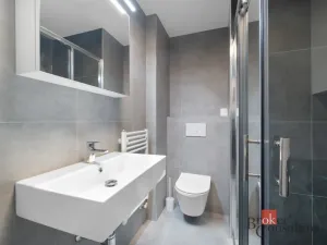 Pronájem bytu 1+kk, Brno - Zábrdovice, Bratislavská, 24 m2