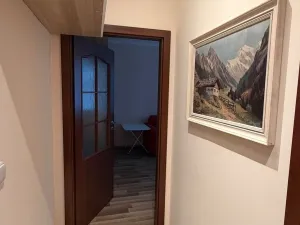 Pronájem bytu 2+1, Karlovy Vary - Rybáře, Šmeralova, 73 m2