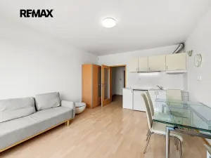 Prodej bytu 1+kk, Praha - Záběhlice, Mattioliho, 32 m2