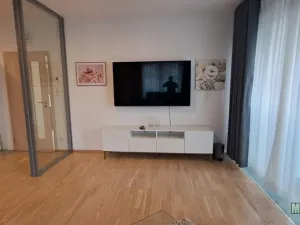 Pronájem bytu 1+kk, Praha - Žižkov, Olšanská, 79 m2