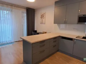Pronájem bytu 1+kk, Praha - Žižkov, Olšanská, 79 m2