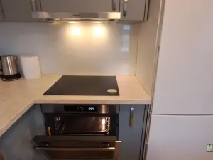 Pronájem bytu 1+kk, Praha - Žižkov, Olšanská, 79 m2