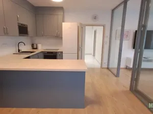 Pronájem bytu 1+kk, Praha - Žižkov, Olšanská, 79 m2