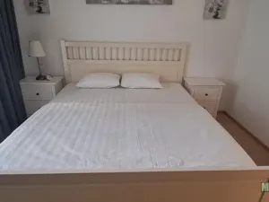 Pronájem bytu 1+kk, Praha - Žižkov, Olšanská, 79 m2