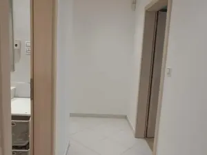 Pronájem bytu 1+kk, Praha - Žižkov, Olšanská, 79 m2