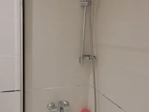 Pronájem bytu 1+kk, Praha - Žižkov, Olšanská, 79 m2