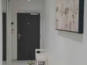 Pronájem bytu 1+kk, Praha - Žižkov, Olšanská, 79 m2