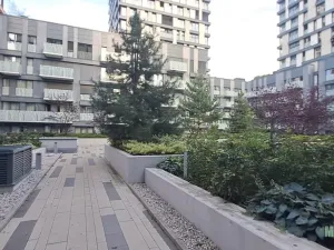 Pronájem bytu 1+kk, Praha - Žižkov, Olšanská, 79 m2
