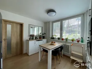 Pronájem bytu 2+1, Brno, Horácké náměstí, 72 m2