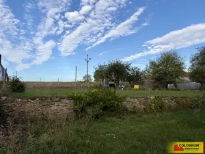 Prodej pozemku pro bydlení, Blížkovice, 726 m2