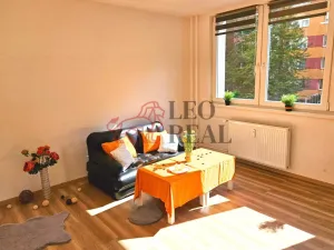 Pronájem bytu 2+1, Nový Jičín - Loučka, Na Lani, 43 m2