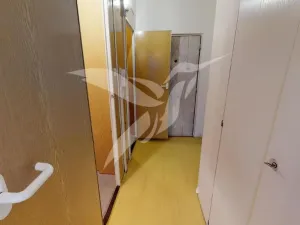Pronájem bytu 1+1, Dobřany, Sokolovská, 42 m2