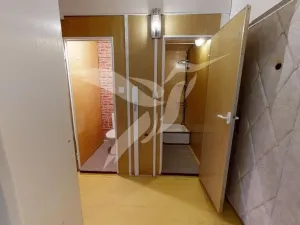 Pronájem bytu 1+1, Dobřany, Sokolovská, 42 m2