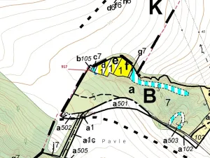 Dražba lesa, Horní Dunajovice, 194 m2