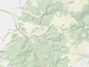 Dražba lesa, Březinky, 813 m2