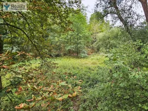 Prodej pozemku, Stříbro, 3589 m2