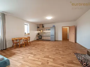 Pronájem bytu 1+kk, Tachov, Sokolovská, 50 m2