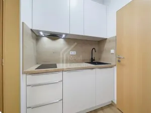 Pronájem pokoje, Praha - Žižkov, Seifertova, 25 m2