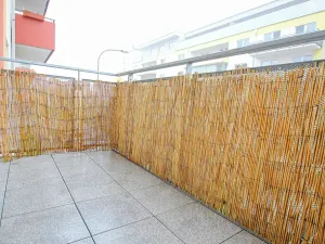 Pronájem bytu 1+kk, Brno, Lišejníková, 35 m2