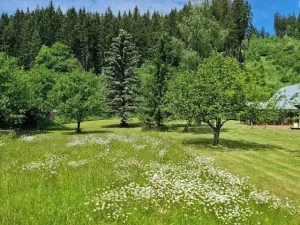 Prodej pozemku pro bydlení, Makov, Slovensko, 3356 m2