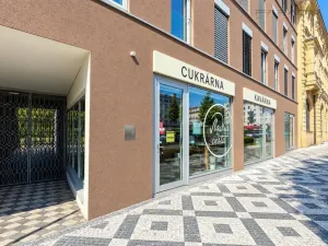 Pronájem bytu 1+kk, Praha - Žižkov, Hartigova, 34 m2