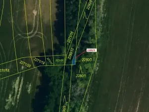 Dražba lesa, Horní Dunajovice, 8 m2