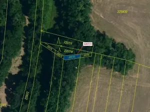 Dražba lesa, Horní Dunajovice, 28 m2