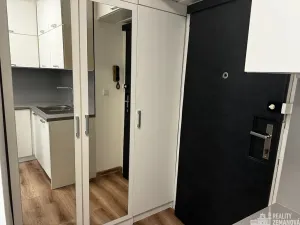 Pronájem bytu 1+1, Praha - Vinohrady, Řipská, 40 m2