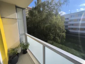 Pronájem bytu 2+1, Hradec Králové - Pražské Předměstí, Hrubínova, 63 m2