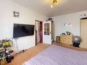 Prodej bytu 1+1, Chomutov, Zahradní, 35 m2