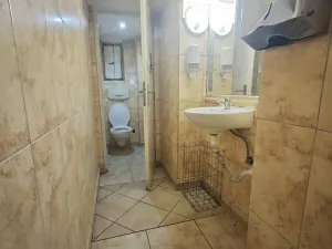 Prodej komerční, Ostrava - Moravská Ostrava, Janáčkova, 165 m2