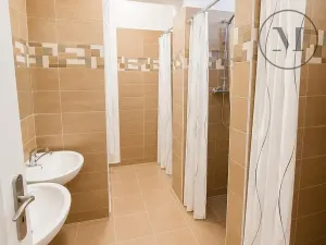 Prodej ubytování, Přední Výtoň, 423 m2