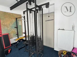 Prodej rodinného domu, Nová Ves, 480 m2