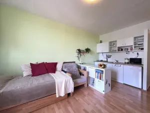 Pronájem bytu 1+kk, Brno, Opálkova, 26 m2