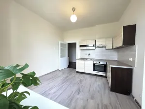 Pronájem bytu 1+1, Brno, Merhautova, 44 m2