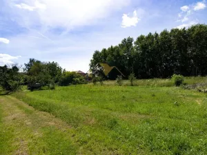 Prodej rodinného domu, Hrabětice, Hrušovanská, 125 m2