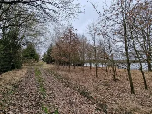 Prodej podílu pozemku pro bydlení, Bělčice, 34980 m2