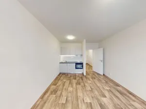 Pronájem bytu 1+kk, Ostrava - Moravská Ostrava, 30. dubna, 30 m2