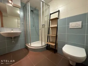 Pronájem bytu 1+kk, Opava - Město, Popská, 31 m2