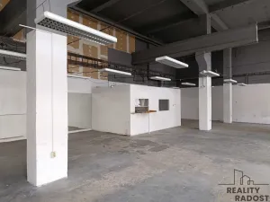 Pronájem skladu, Brno - Staré Brno, 220 m2
